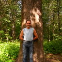 ���������� ������, ���� ������� Timmii, 61 ���, ������������ ��� ������, ����� � ���������, c�������� ���������