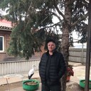  ,   , 45 ,   