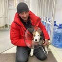 ���������� ������-��-����, ���� ������� �����Stereo, 43 ����, ������������ ��� c�������� ���������