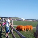 ���������� �������, ���� ������� ���������, 42 ����, ������������ ��� ������, ����� � ���������