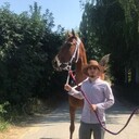 ���������� ������, ���� ������� �����, 33 ����, ������������ ��� ������, ����� � ���������