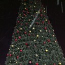 ���������� ����� �������, ���� ������� ����, 42 ����, ������������ ��� ������, ����� � ���������