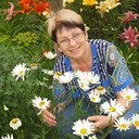 ���������� ��������, ���� ������� ������, 61 ���, ������������ ��� ����� � ���������, c�������� ���������