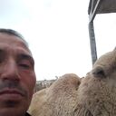  ,   , 47 ,   ,   