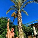 ���������� ������, ���� ������� ���������, 28 ���, ������������ ��� ������, ����� � ���������, c�������� ���������, ���������