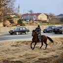 ���������� ���������, ���� ������� �����, 31 ���, ������������ ��� ������, ����� � ���������