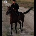  ,   , 22 ,     , c , 