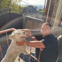 ���������� ������, ���� ������� �����, 41 ���, ������������ ��� ����� � ���������, c�������� ���������