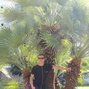 ���������� ������-��-����, ���� ������� ���������, 38 ���, ������������ ��� ������