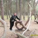 ���������� �����, ���� ������� Jek005, 44 ����, ������������ 