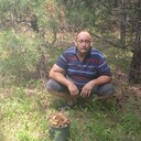  ,   , 44 ,   c 