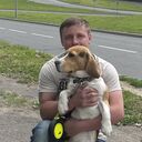 ���������� �����-���������, ���� ������� ������, 37 ���, ������������ ��� ������, ����� � ���������, c�������� ���������