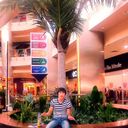 ���������� ������, ���� ������� ������, 33 ����, ������������ ��� ������