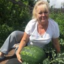 ���������� ����������, ���� ������� ����, 62 ����, ������������ ��� c�������� ���������