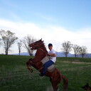 ���������� ������, ���� ������� ���, 40 ���, ������������ ��� ������, ����� � ���������, c�������� ���������