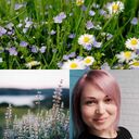 ���������� ������, ���� ������� �����, 40 ���, ������������ ��� c�������� ���������, ���������