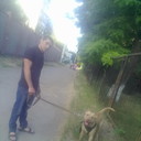  ,   , 41 ,   ,   , c 