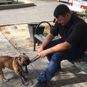 ���������� �������, ���� ������� �����, 31 ���, ������������ ��� ������, ����� � ���������, c�������� ���������, ���������