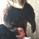  ,   , 43 ,   ,   , c , 