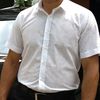  ,   Alihan, 83 ,   ,   , c 