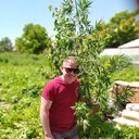 ���������� �������, ���� ������� Ivan, 41 ���, ������������ ��� ������, ����� � ���������, c�������� ���������