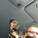 ���������� ������, ���� ������� �������, 45 ���, ������������ ��� c�������� ���������, ���������