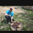 ���������� ������, ���� ������� ����, 44 ����, ������������ ��� ������, ����� � ���������, c�������� ���������