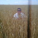 ���������� �����, ���� ������� �����, 54 ����, ������������ ��� ������