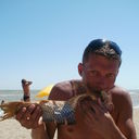  ,   C, 44 ,   