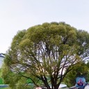  ,   , 39 ,   ,   , c 