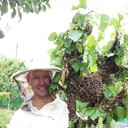  ,   , 50 ,     , c 