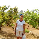  ,   , 50 ,   c 