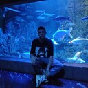 ���������� ������, ���� ������� ���������, 27 ���, ������������ ��� ������, ����� � ���������