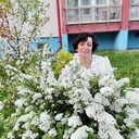 ���������� �����, ���� ������� �������, 55 ���, ������������ ��� ������, ����� � ���������, c�������� ���������