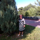 ���������� ���������, ���� ������� �������, 67 ���, ������������ ��� ������, ����� � ���������, c�������� ���������