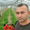  ,   , 40 ,   ,   