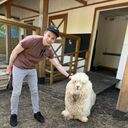 ���������� ������, ���� ������� ��������, 33 ����, ������������ ��� ������, ����� � ���������, c�������� ���������