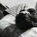  ,   , 27 ,     , c , 