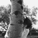 ���������� ������, ���� ����� ������, 22 ����, ������������ ��� ������, ����� � ���������