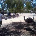 ���������� ���������, ���� ������� ���������, 41 ���, ������������ ��� ������, ����� � ���������, c�������� ���������