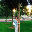 ���������� ������, ���� ������� �������, 44 ����, ������������ ��� ������, ����� � ���������, c�������� ���������