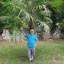  ,   , 66 ,   ,   