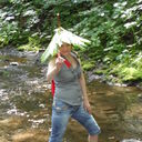  -,   , 61 ,   ,   , c 
