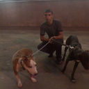  ,   Noro, 36 ,   ,   , c 