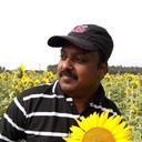 ���������� ������, ���� ������� Edwin, 64 ����, ������������ ��� ������, ����� � ���������, c�������� ���������