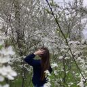 ���������� ������-��-����, ���� ������� ���, 26 ���, ������������ ��� ������, ����� � ���������, ���������