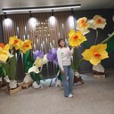  ,   , 33 ,   ,   , c , 