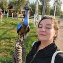  -,   , 33 ,  