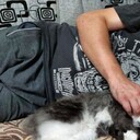 ���������� ������, ���� ������� �����, 36 ���, ������������ ��� ������, ����� � ���������