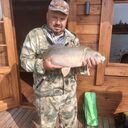 ���������� �����, ���� ������� ������, 45 ���, ������������ ��� ������, ����� � ���������, c�������� ���������, ���������